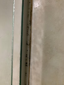 Mold in washroom