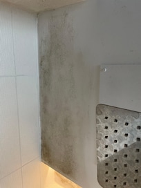 More mould on shower ceiling.