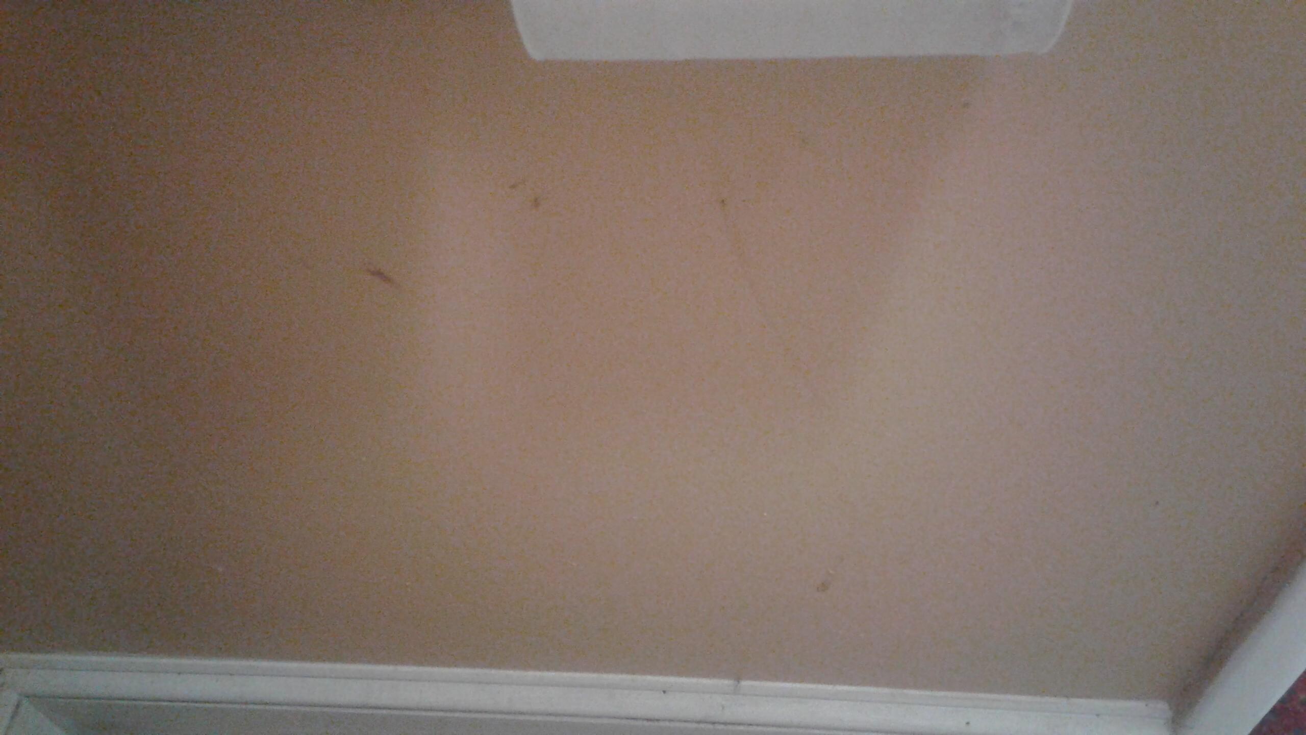 One pic of the filth on the walls...just one pic...I have 30.