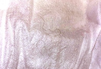 The 2 curly hairs on the duvet