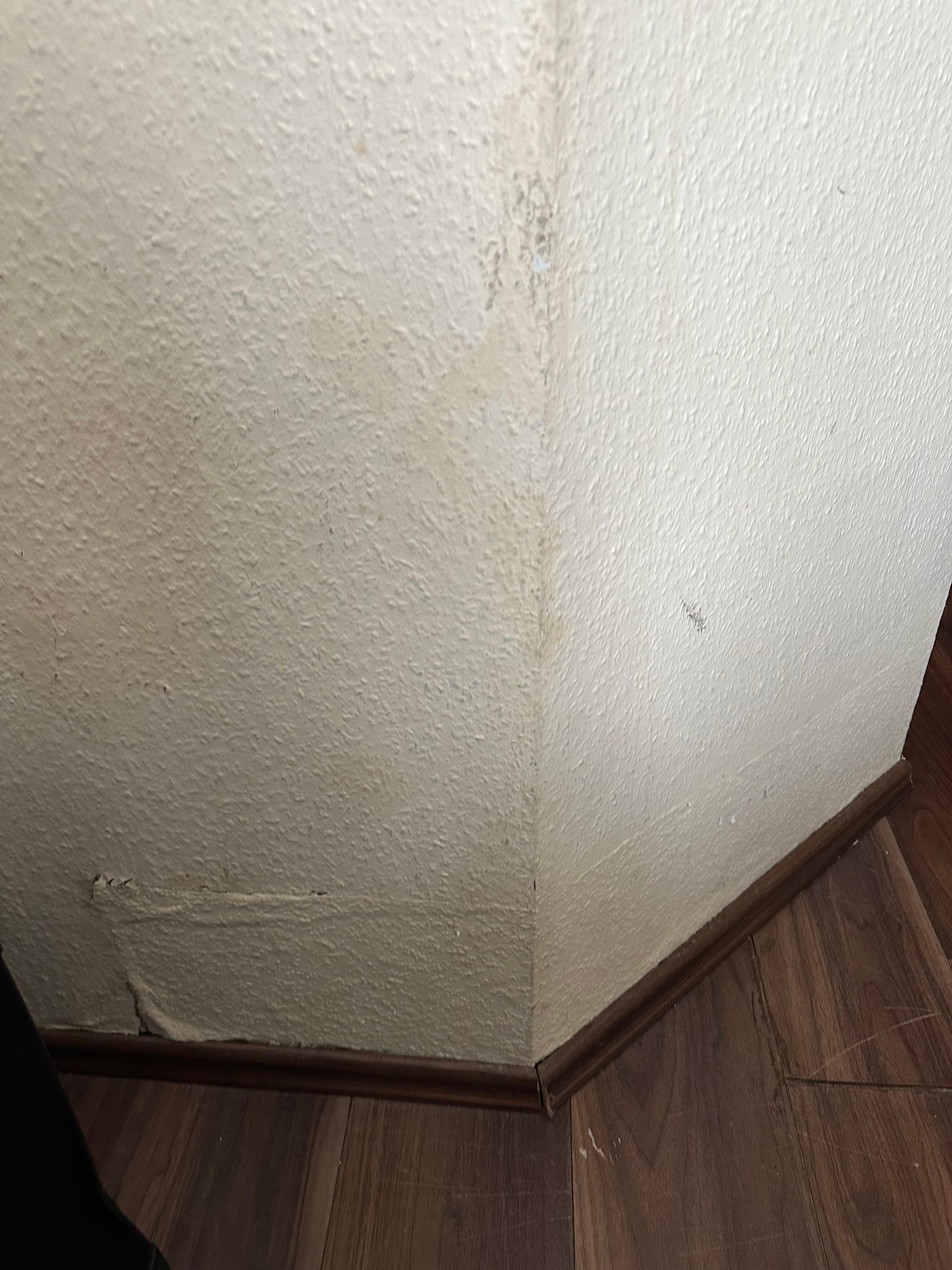 One of my pictures of water damage and mould