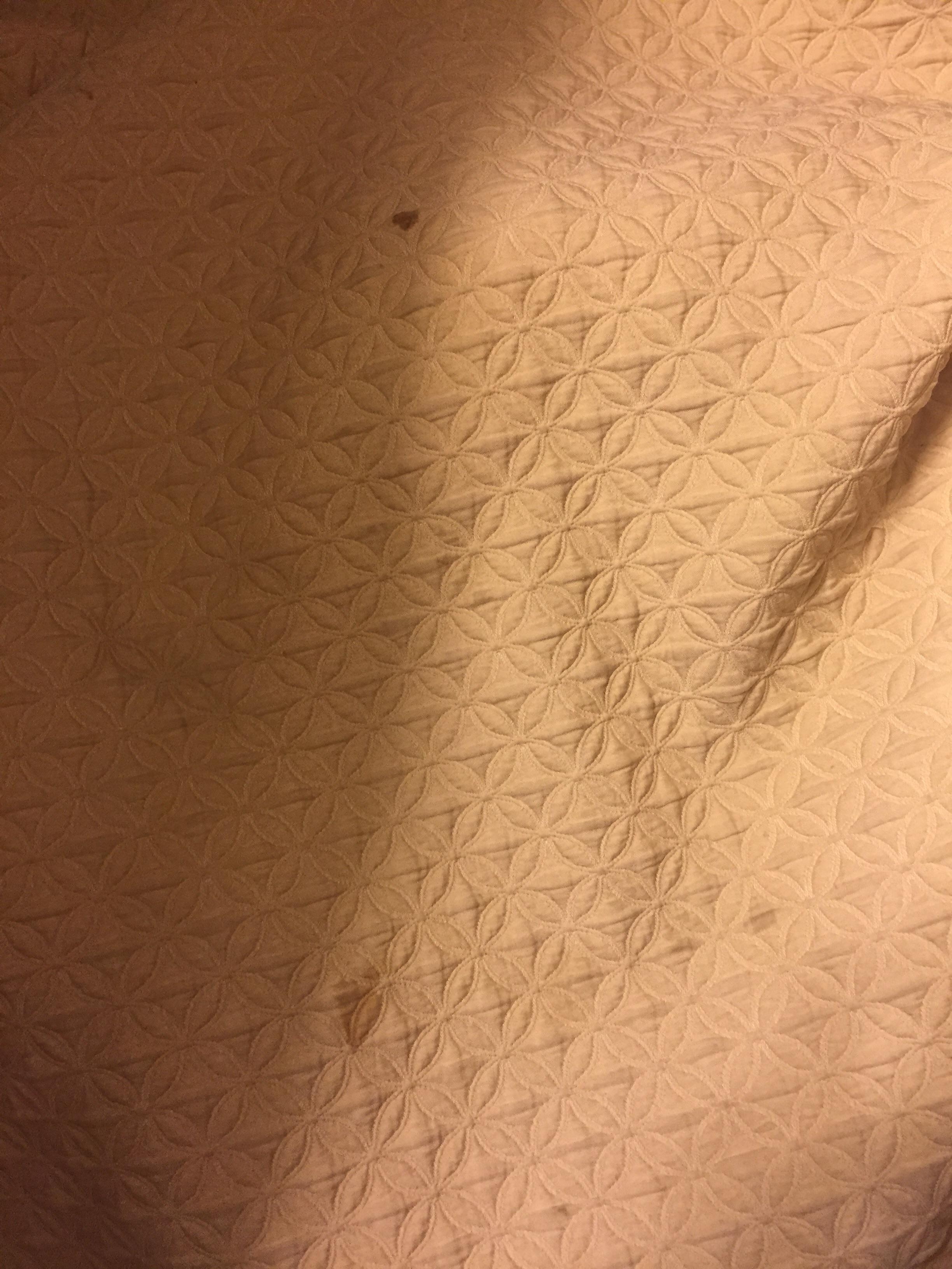 Bloody blankets