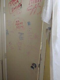 Writing all over the bathroom door.