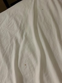 Dirty beds