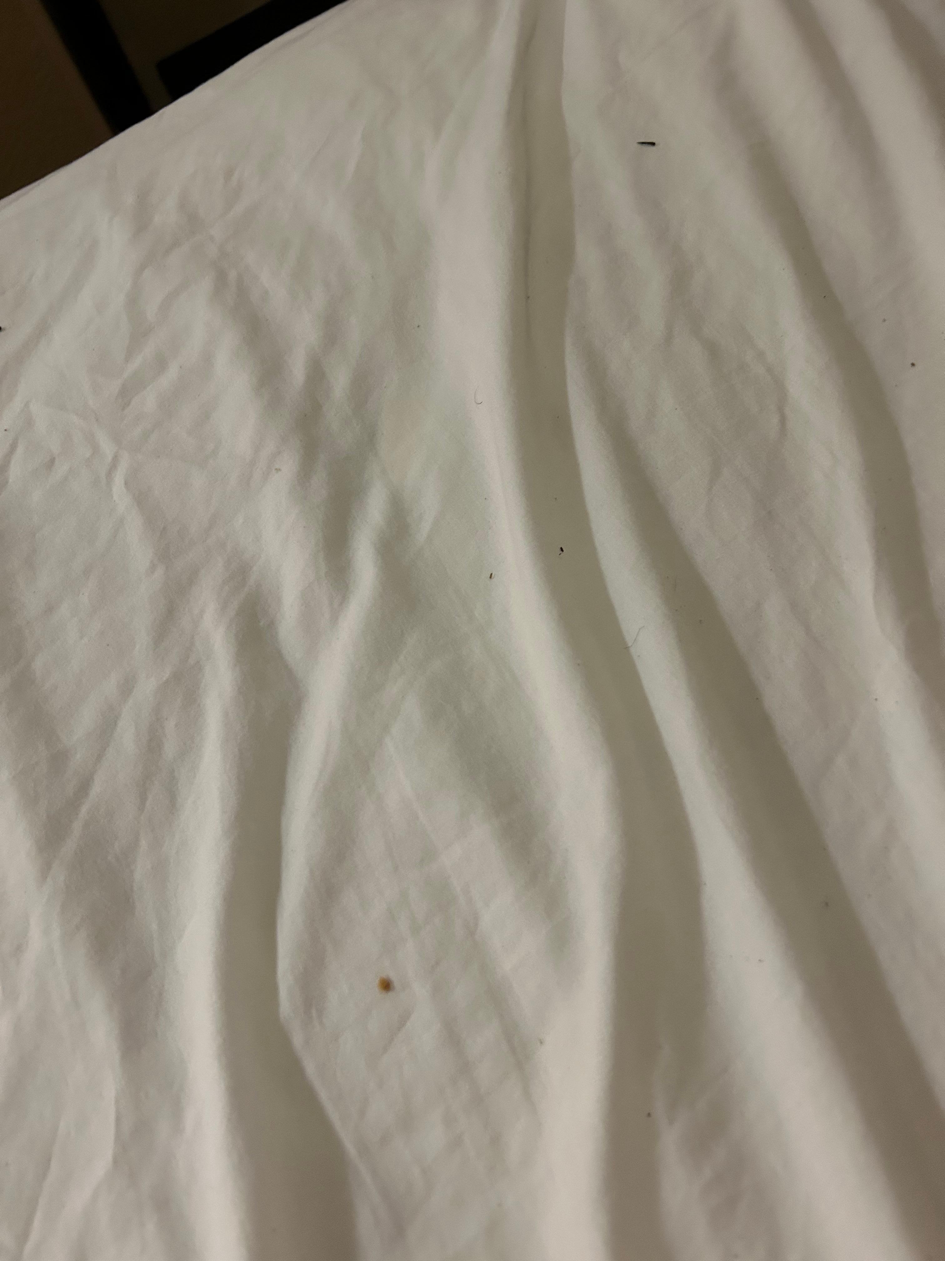 Dirty beds