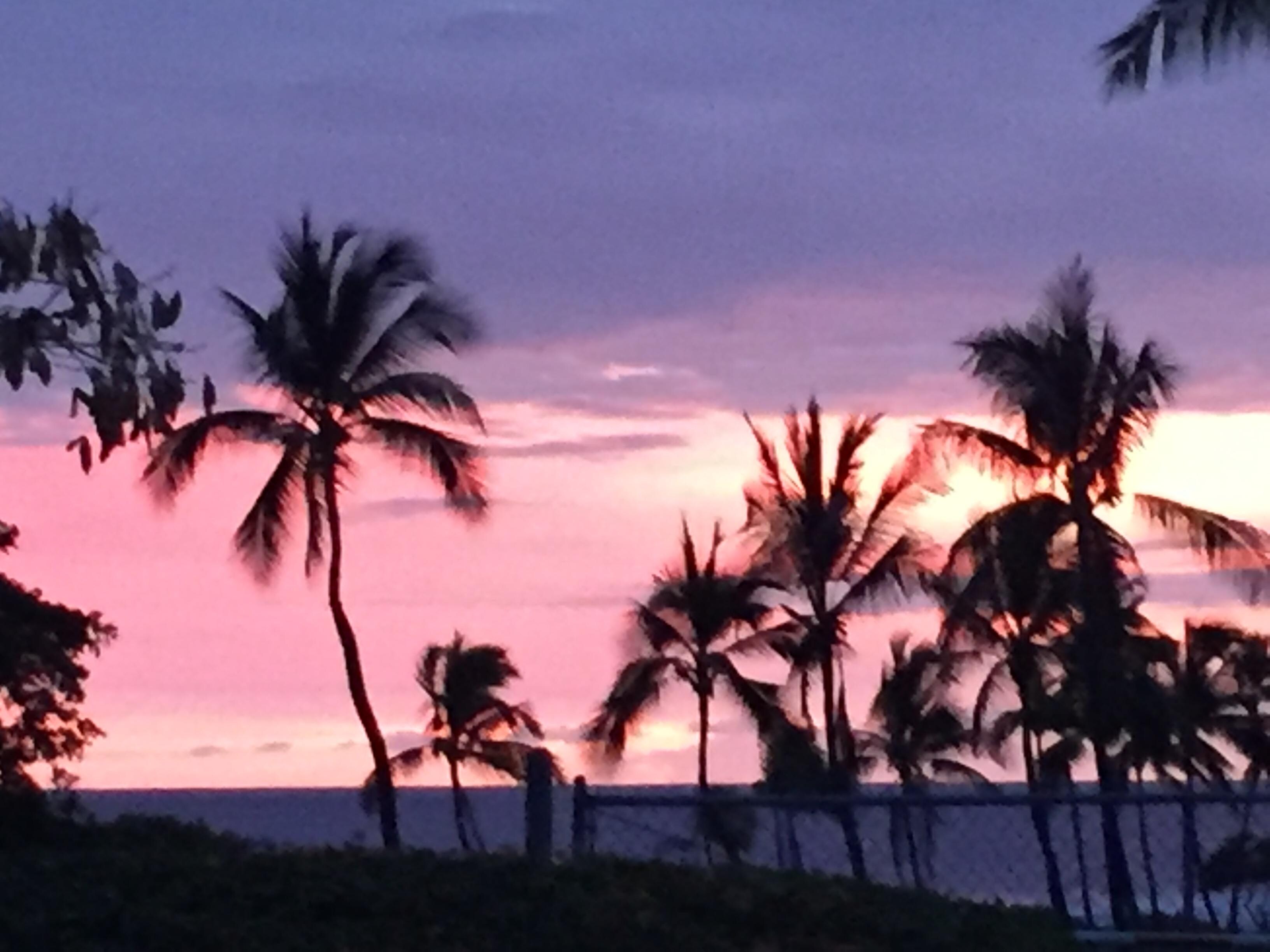 Picture from lani
