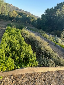 Grounds