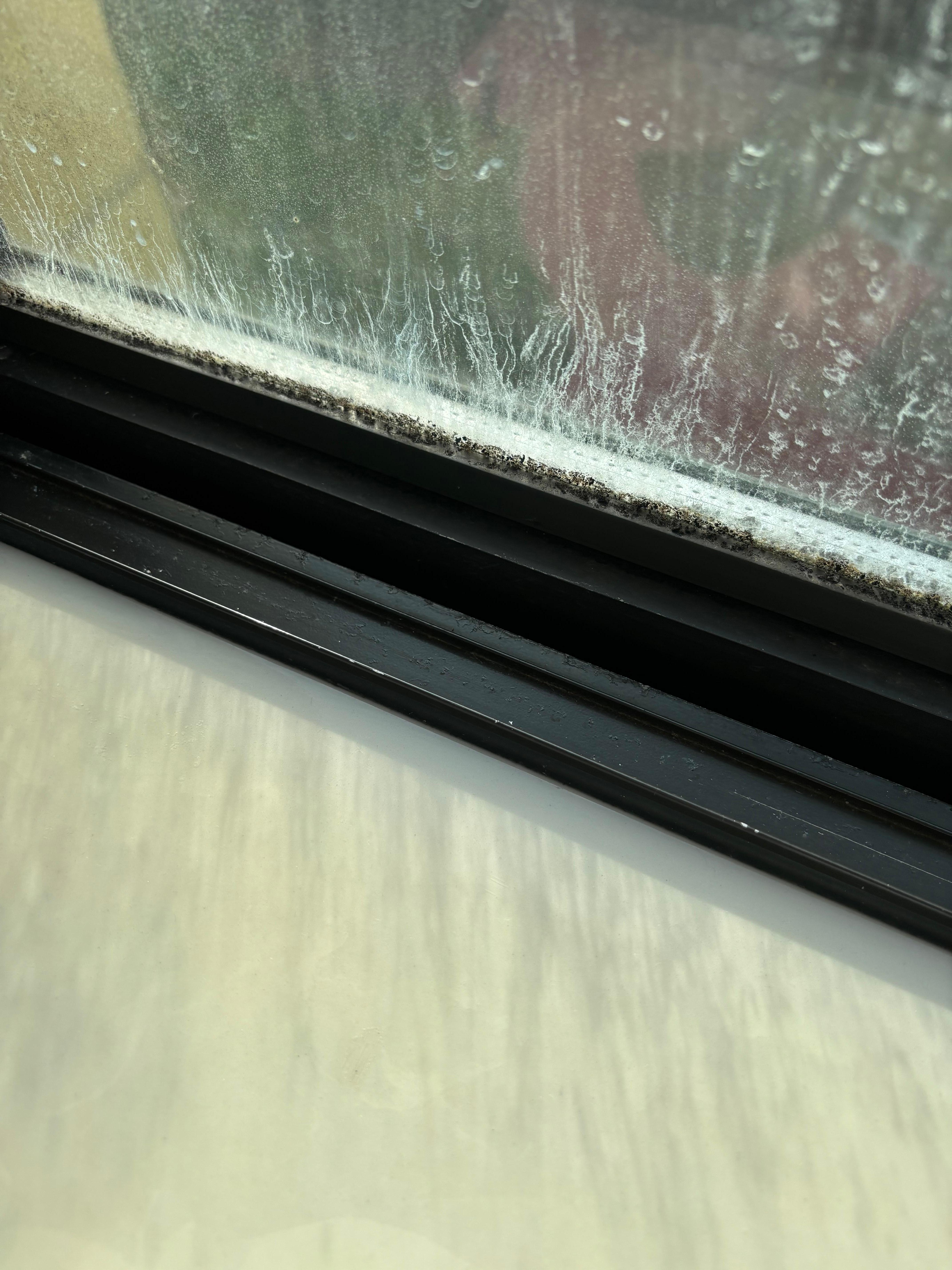 Mold on the window sill 