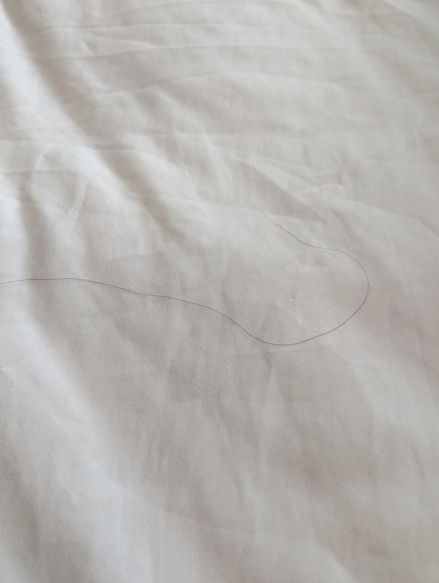 Hair in the bed upon arrival 