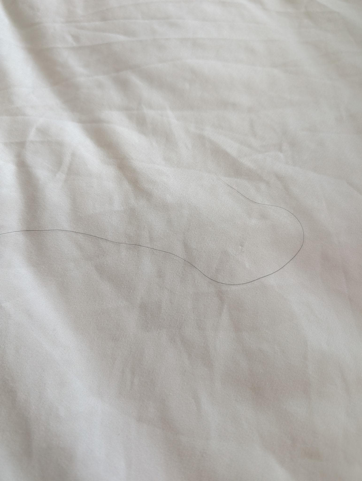 Hair in the bed upon arrival