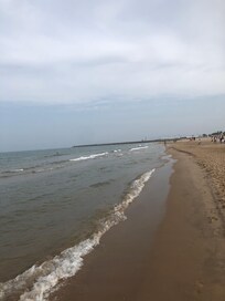 Coast of the beach