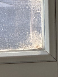 FenĂȘtre salle de restaurant