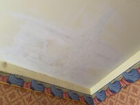 Plafond humide