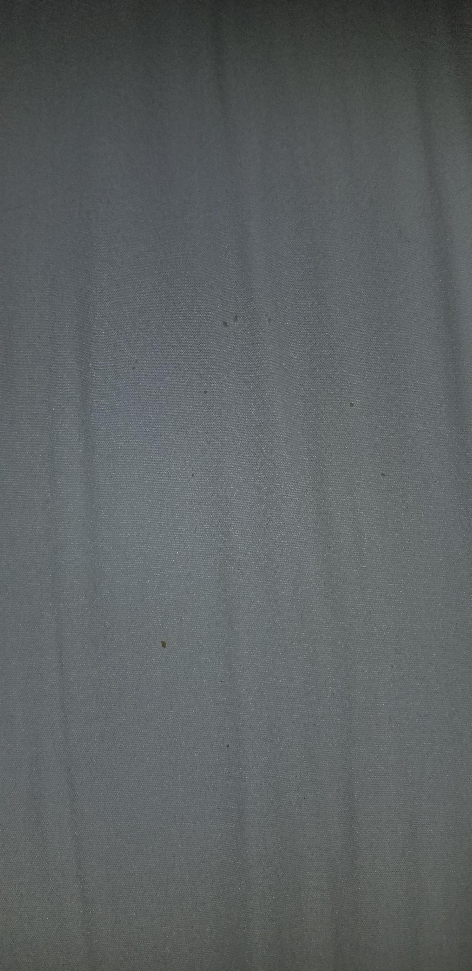 Look a clear bed