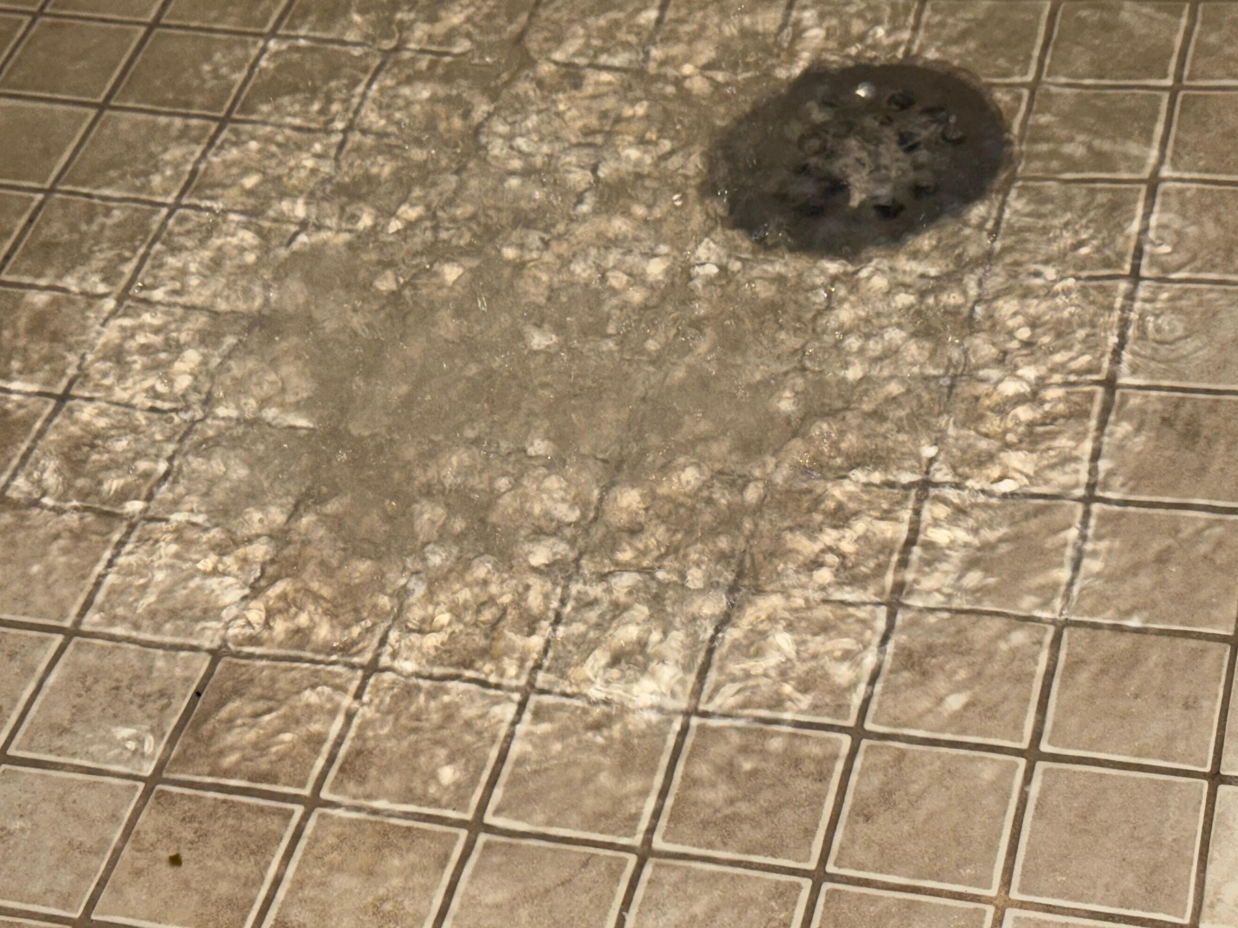 The clogged shower drain