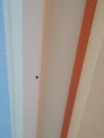 TĂąches sur l'entourage de la porte de la salle de bain qui ressemble ah je ne sais quoi