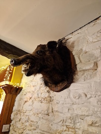 Boars head