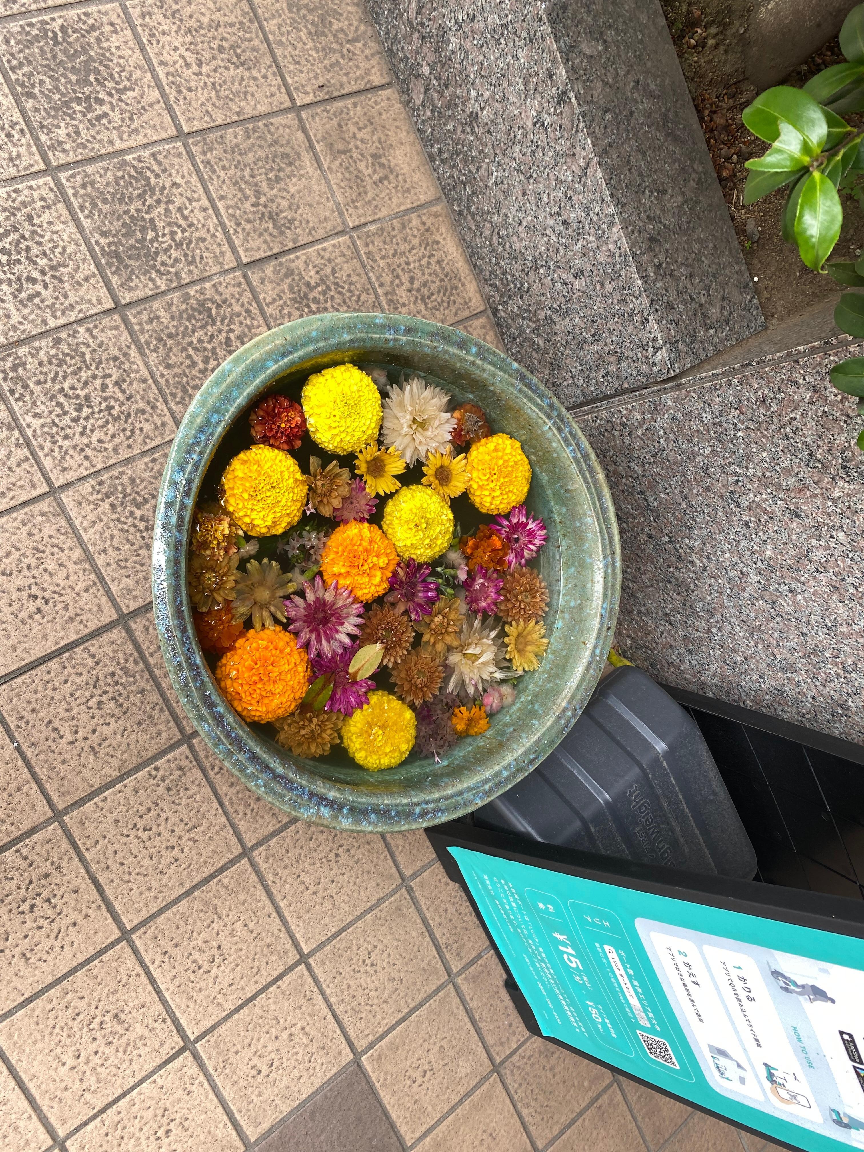 門口