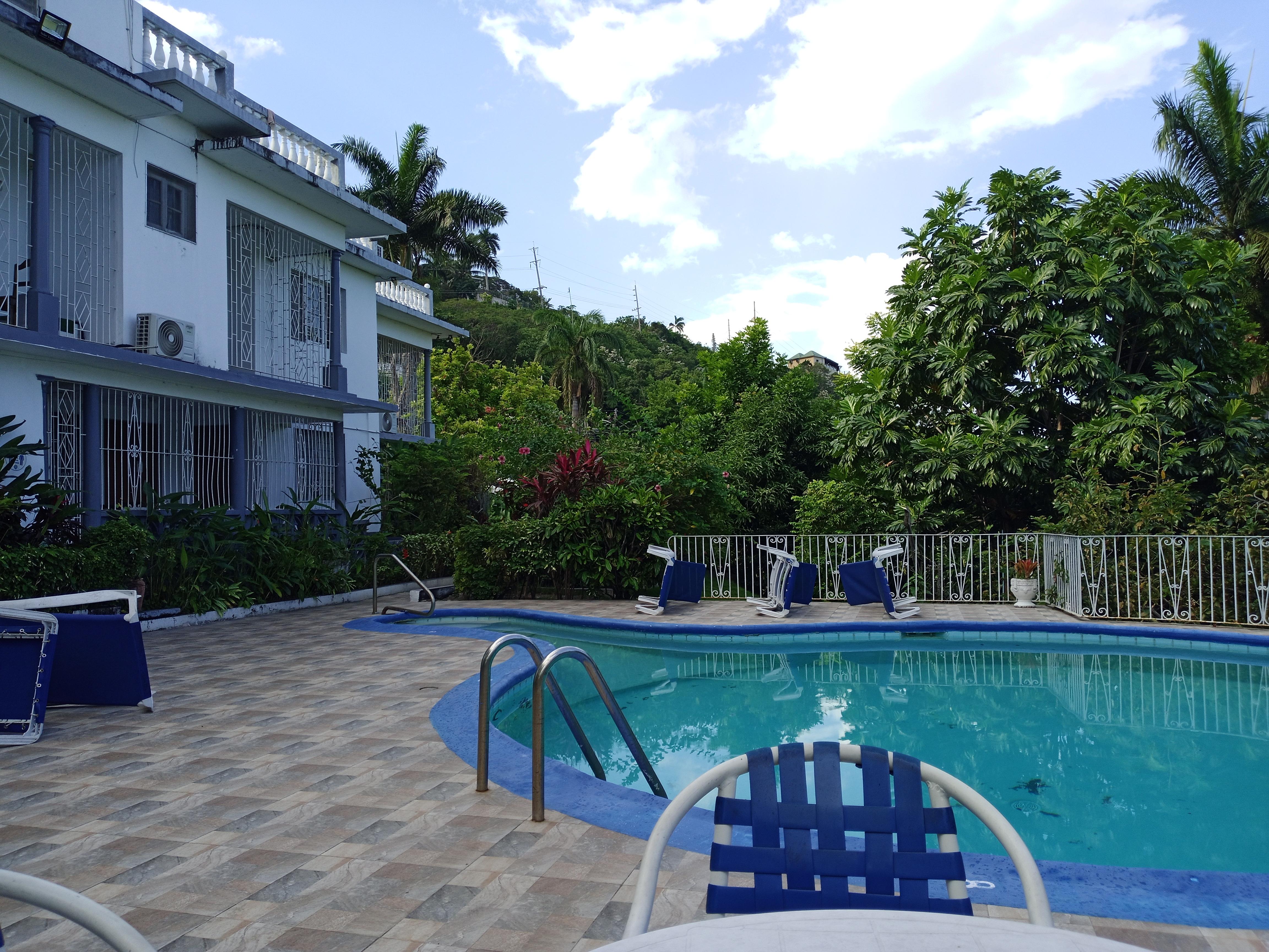 Pool deck at the Palm View Guesthouse, clean & well maintained pool & deck area