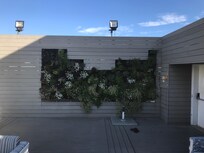 Blomster på veggen på takterassen :)