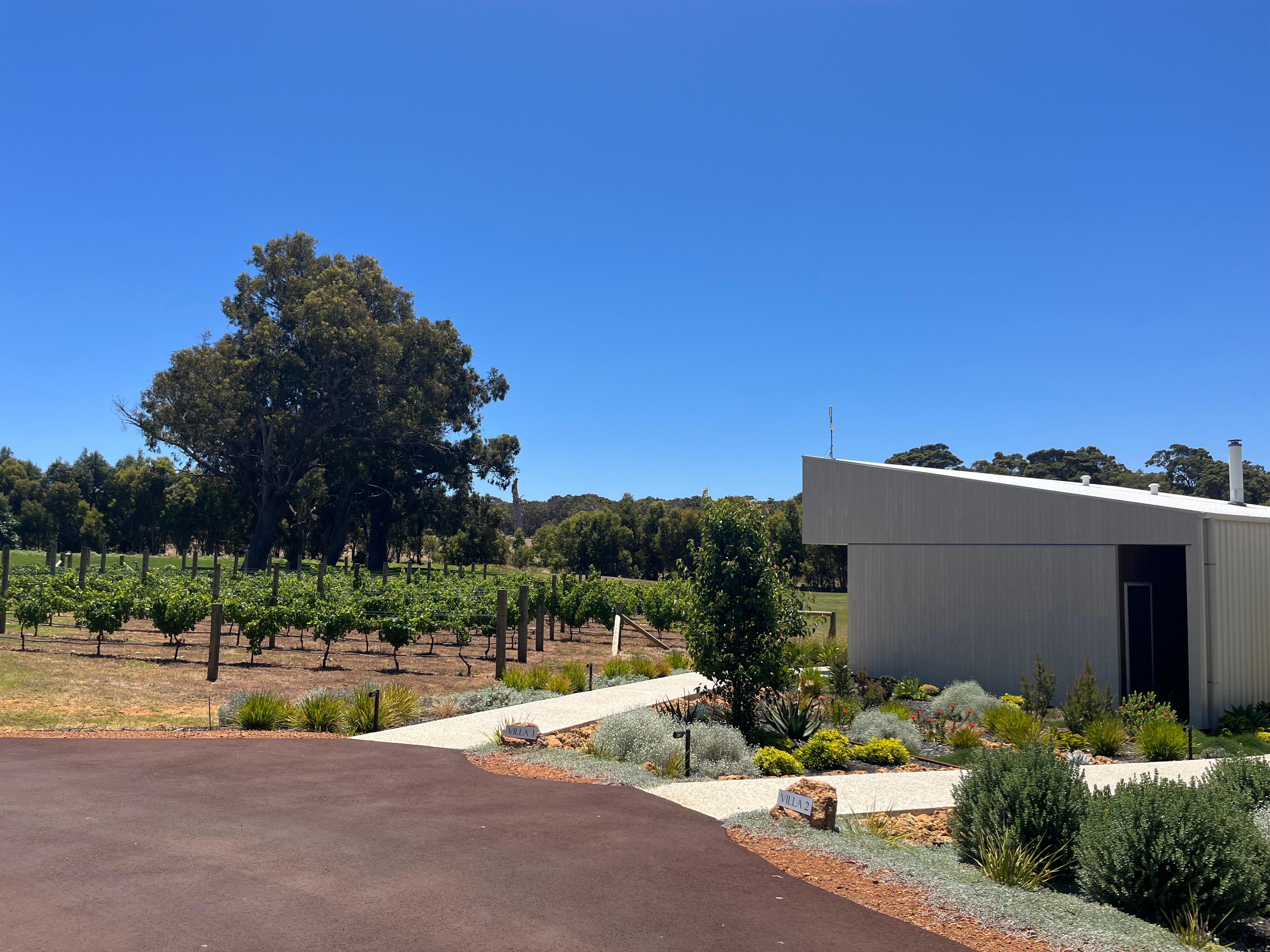 Villa 1 overlooking the vines & lake 