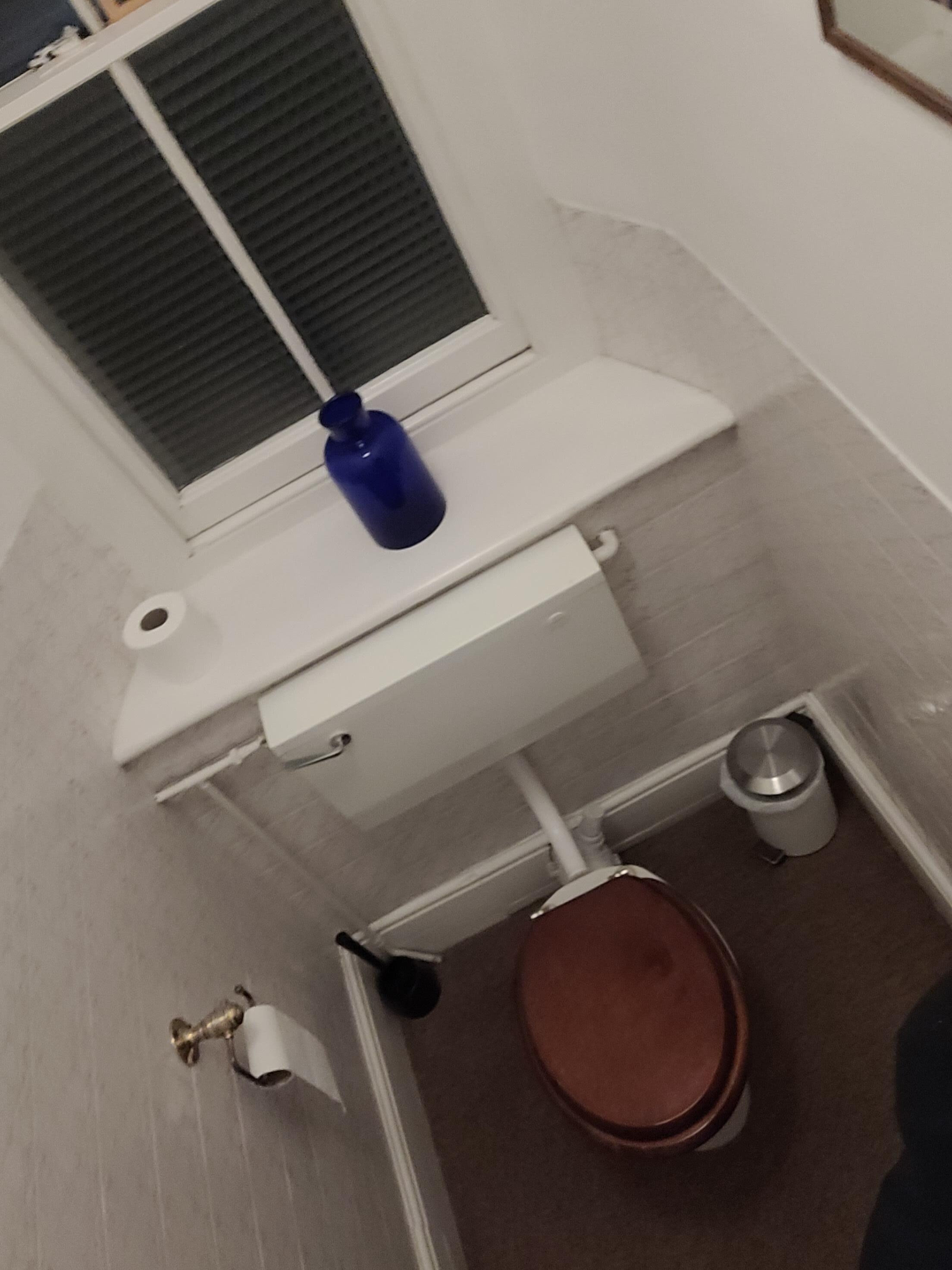 The separate toilet 