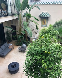 Courtyard garden