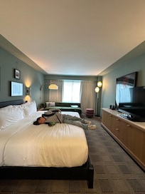 Large delicate and clean room