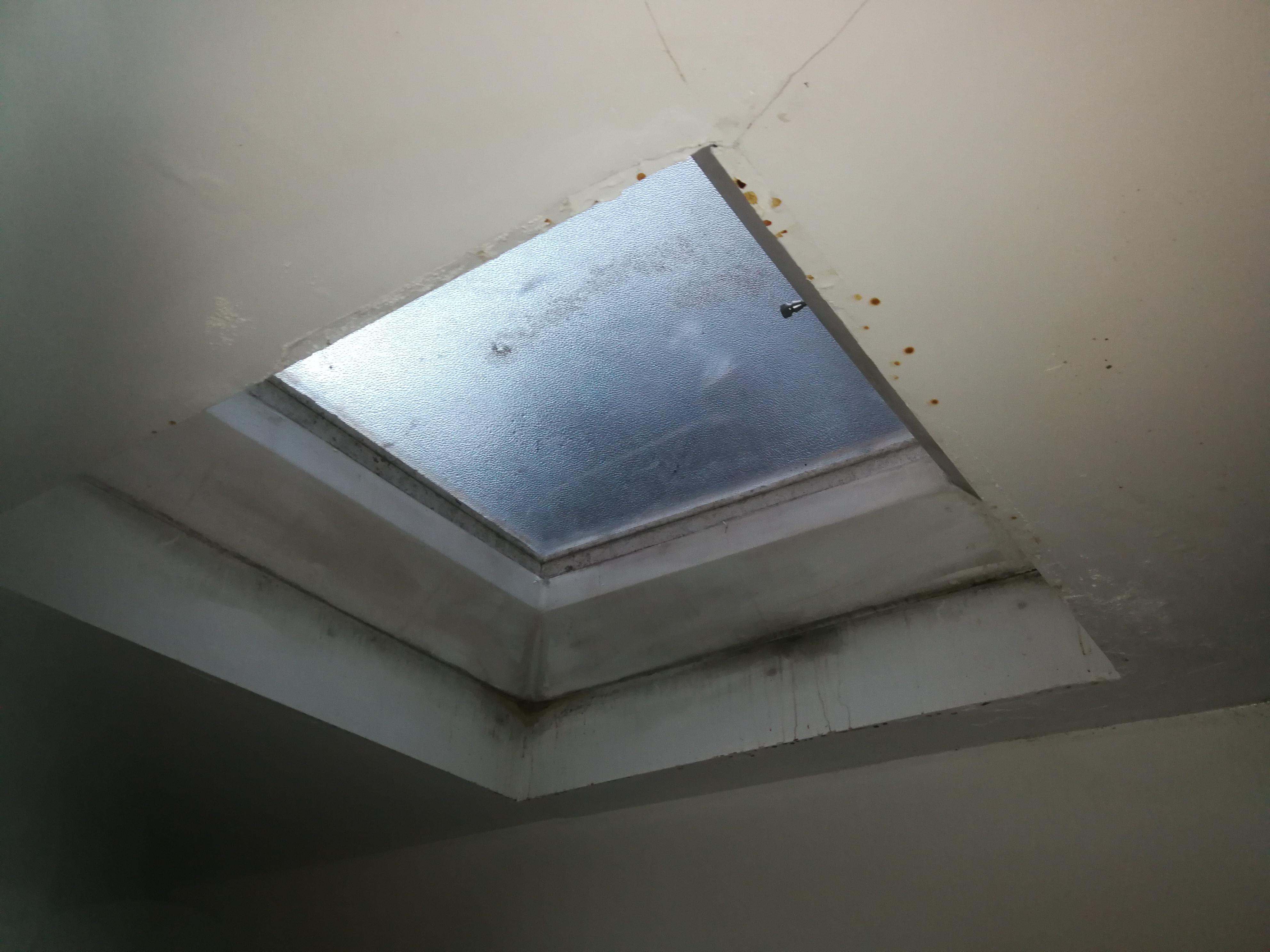 Damp and mould around window