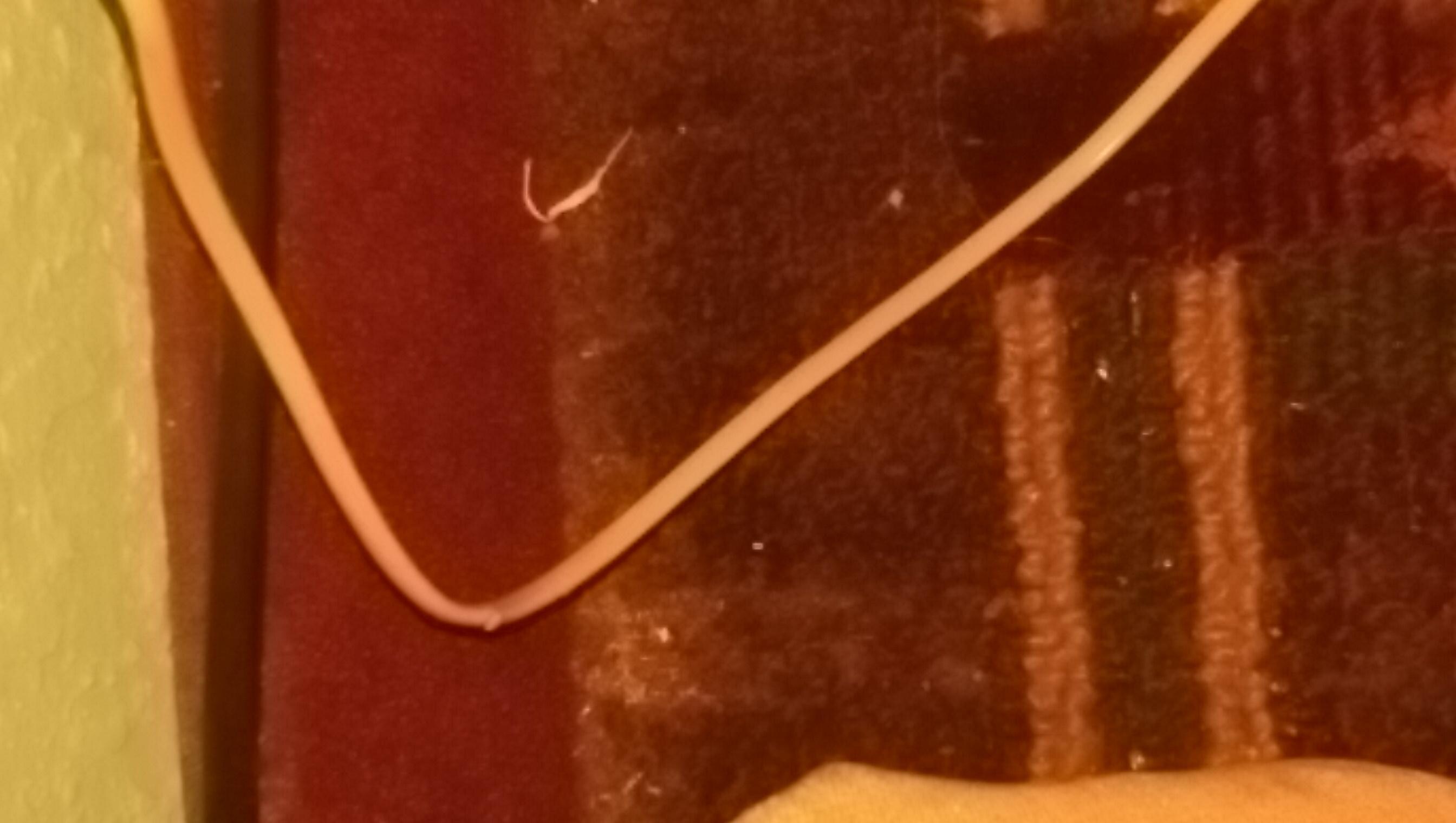 Dirty hairs on floor not mine Im silver