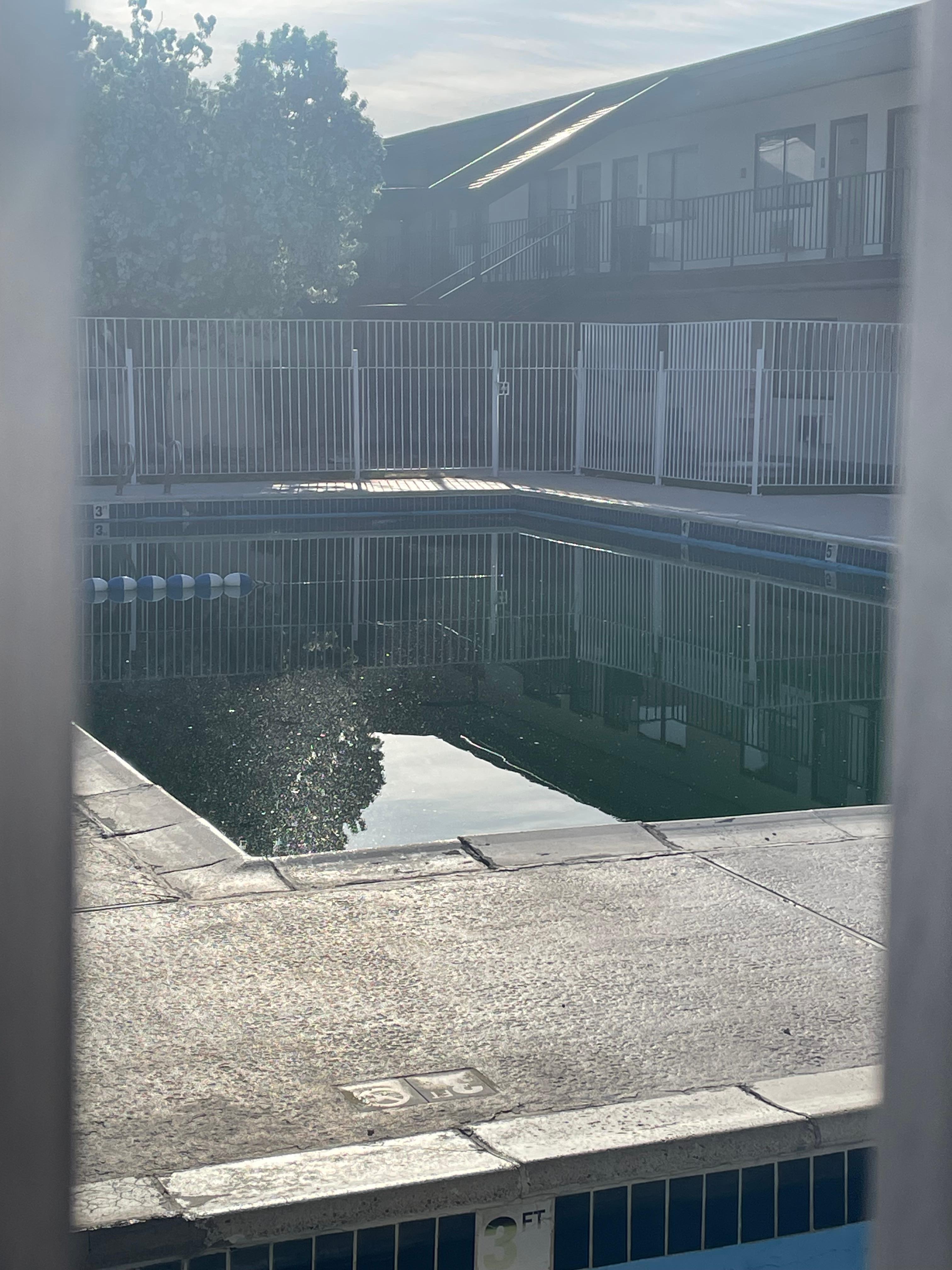 Pool with very green water