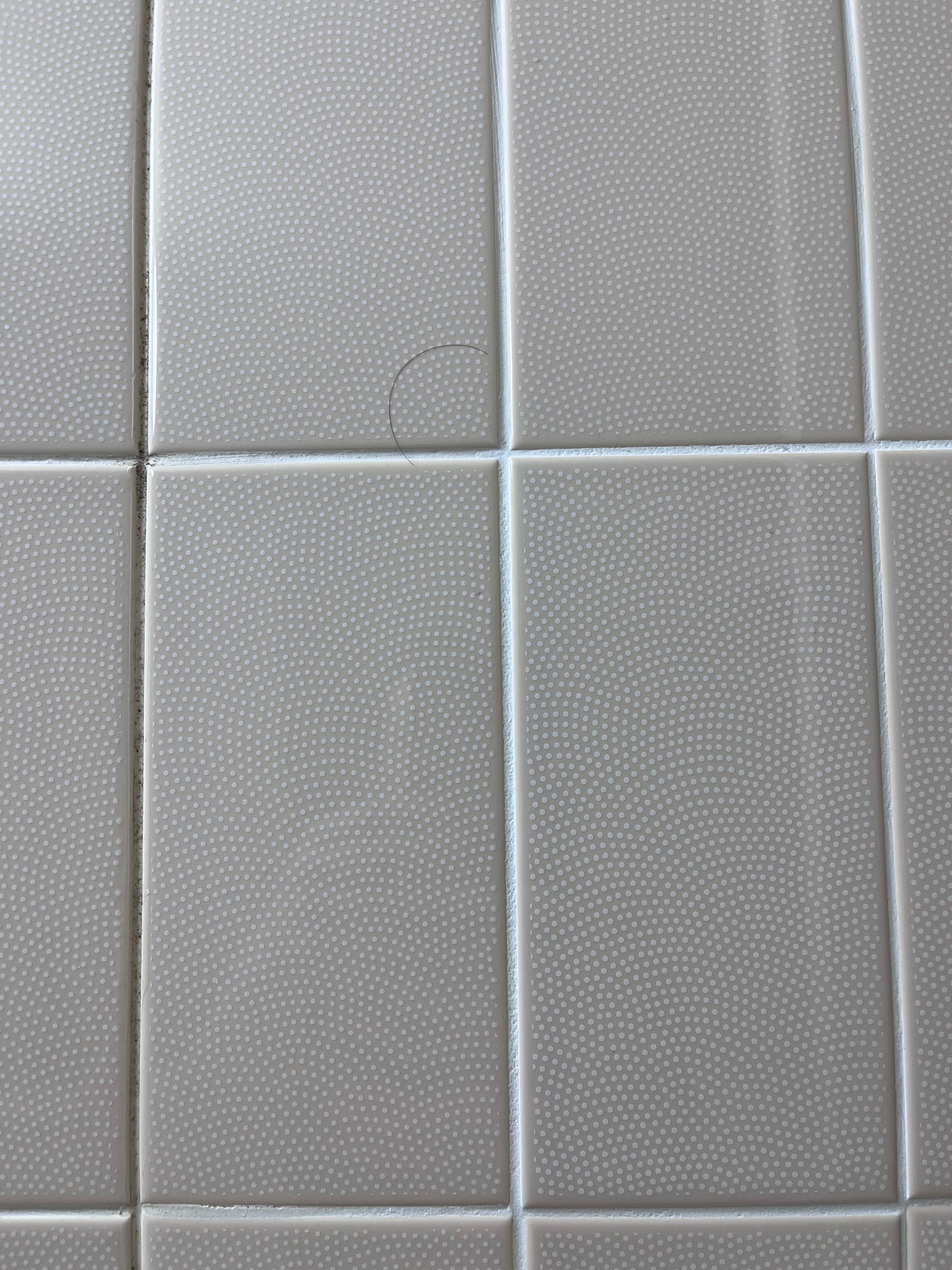 Hair in bathroom wall