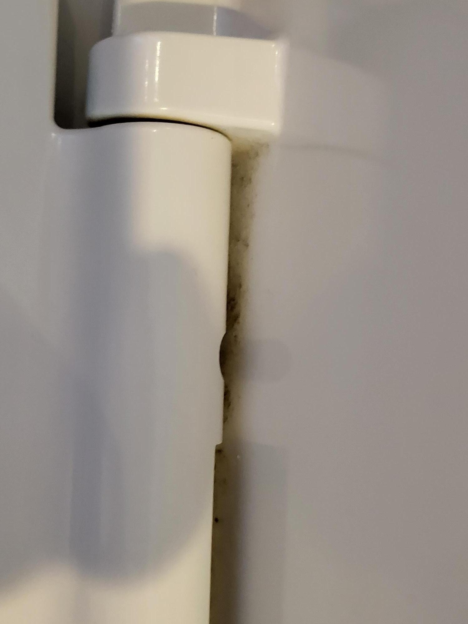 Ancient dirt in the toilet seat