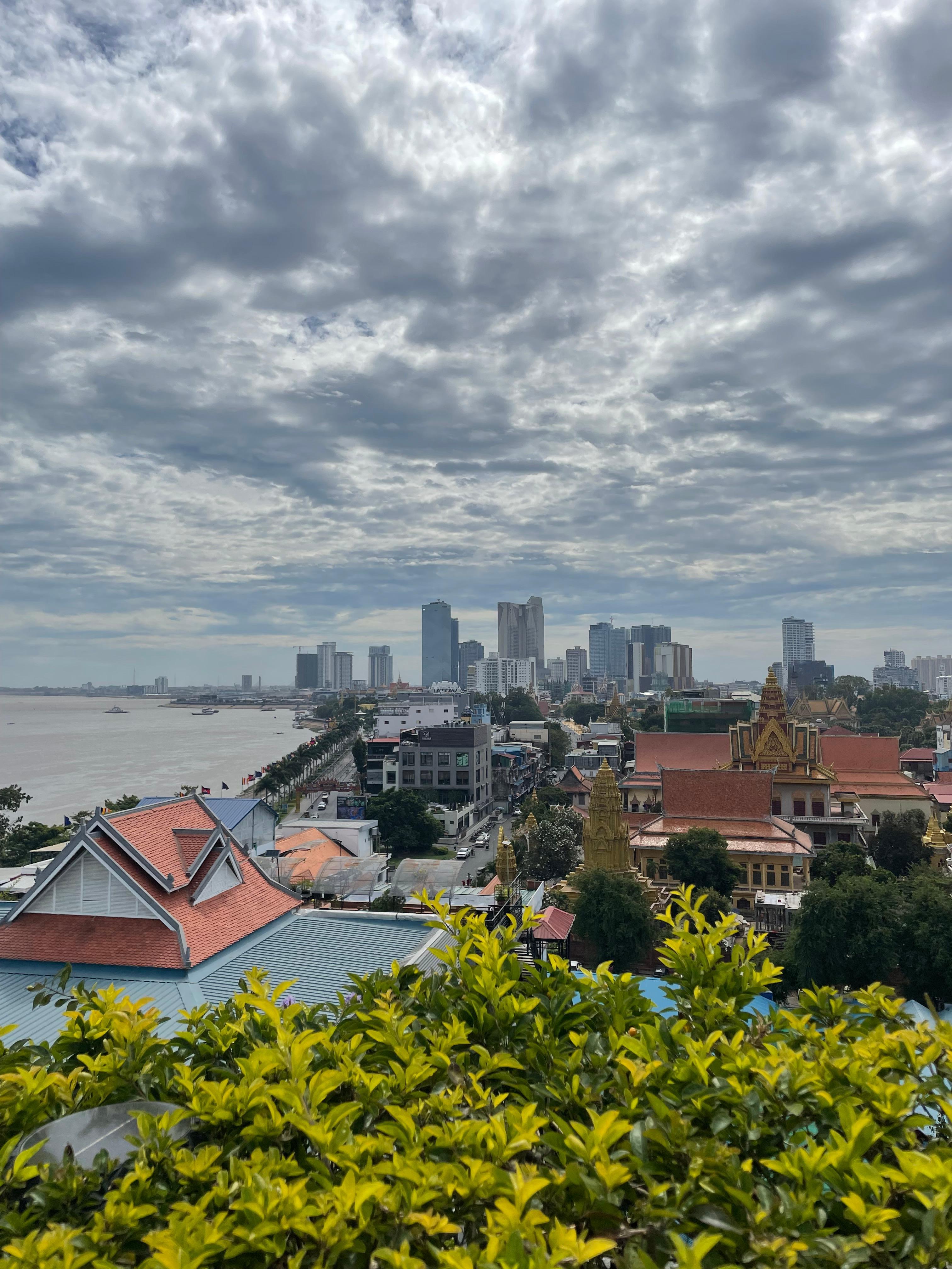 Rooftop view! 