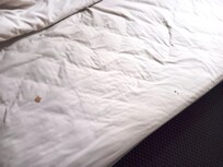 Blood stained sheets