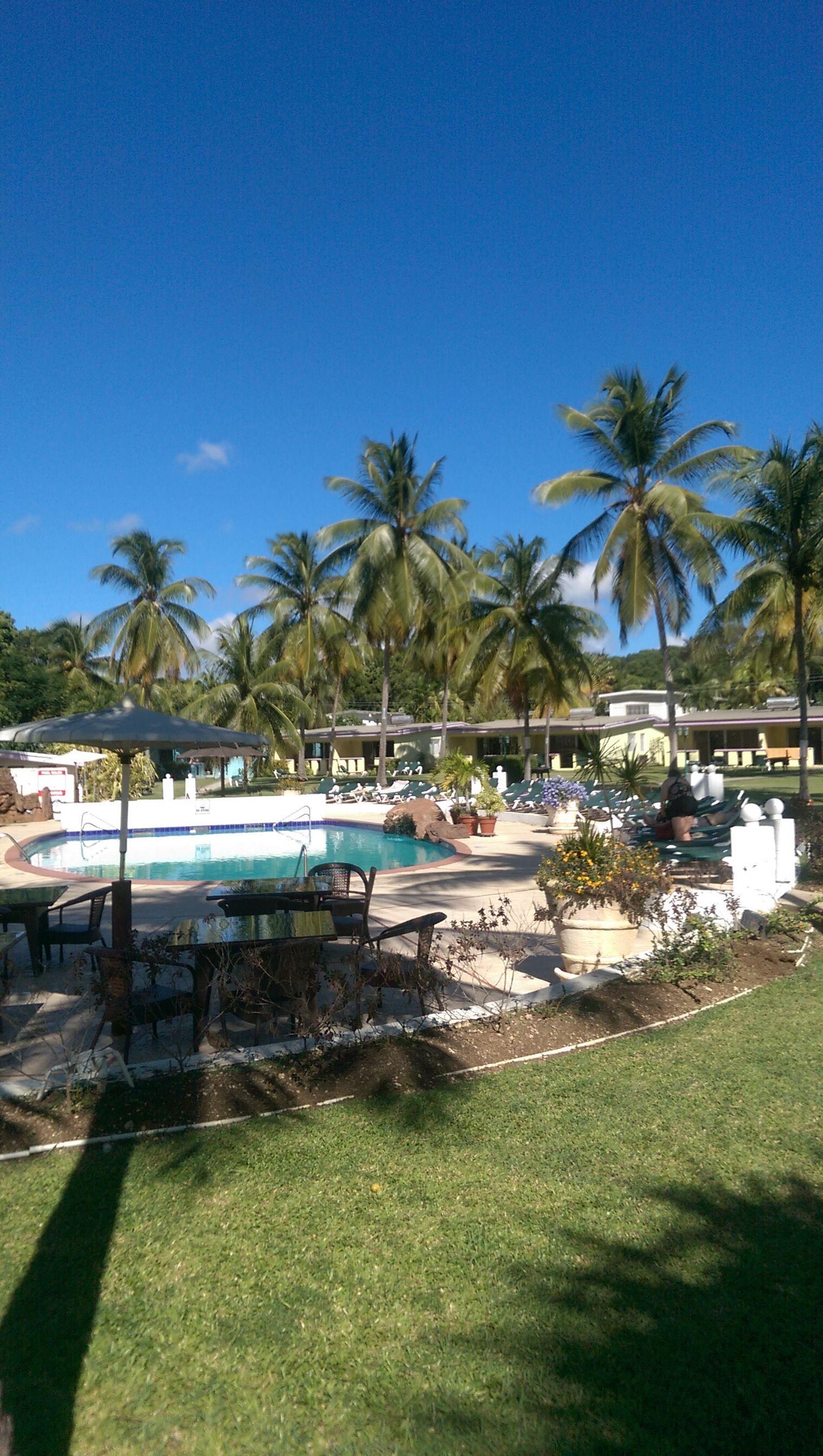 Pool und Grünfläche
