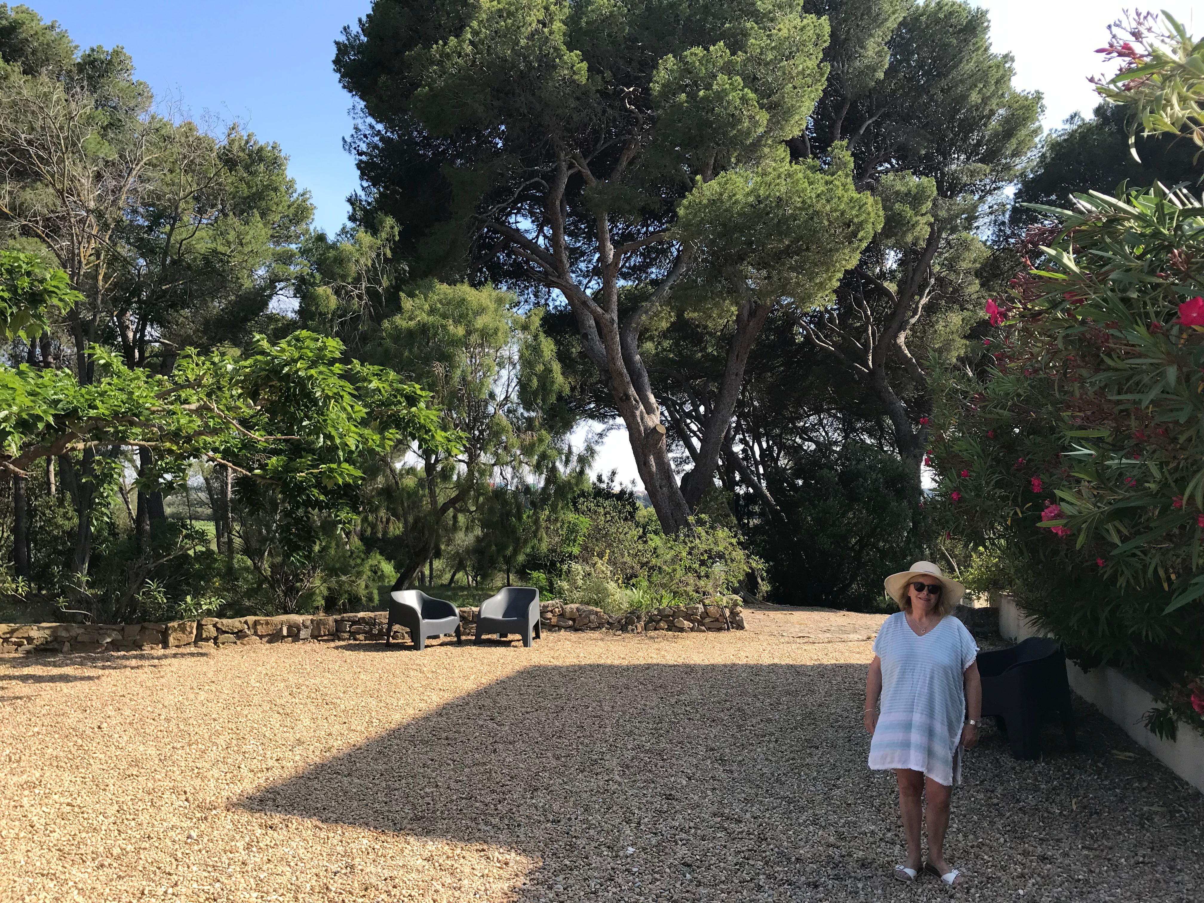 Parc vers piscine entourée par des arbres 