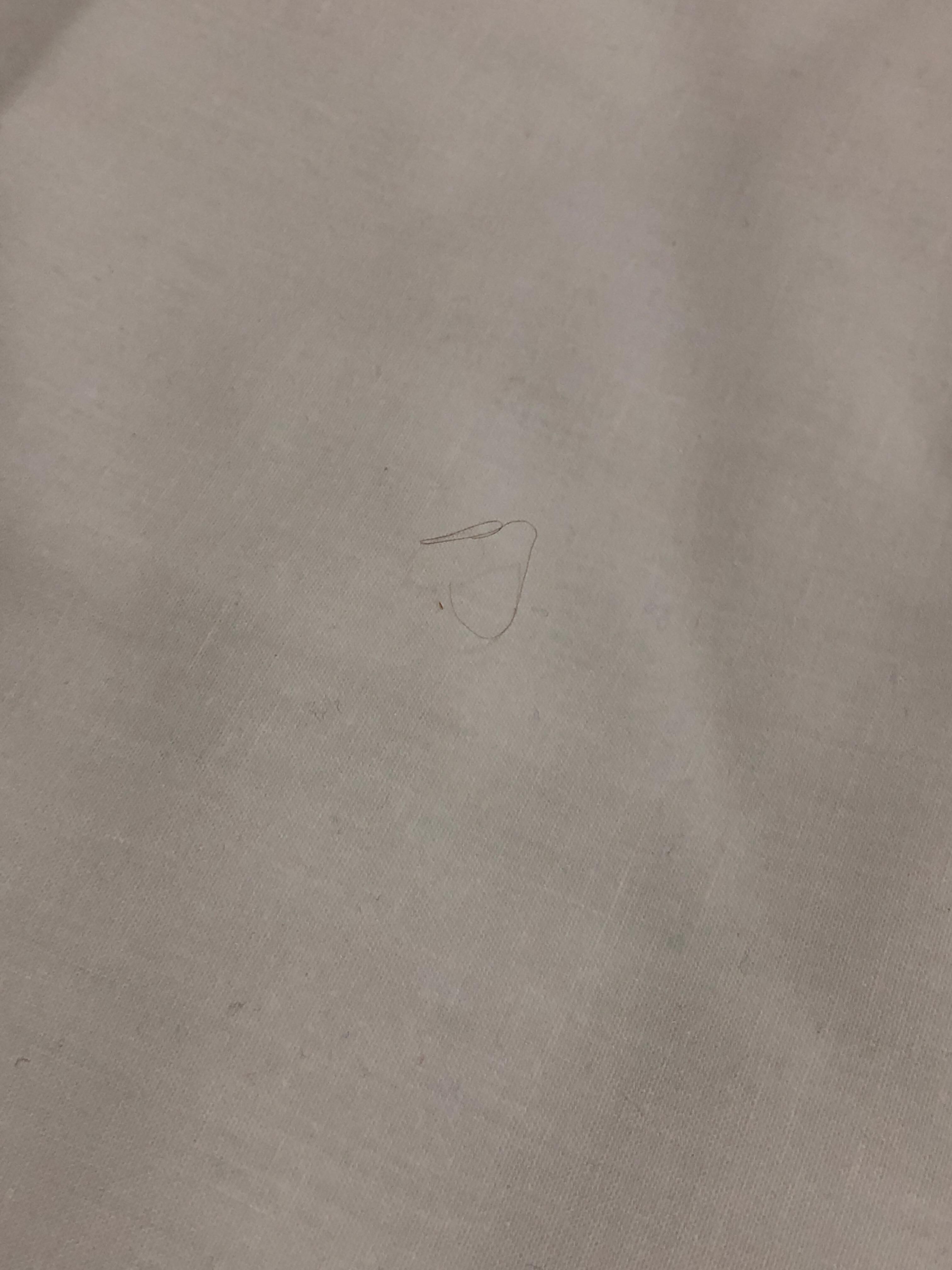 This is one of the pubes on my duvet