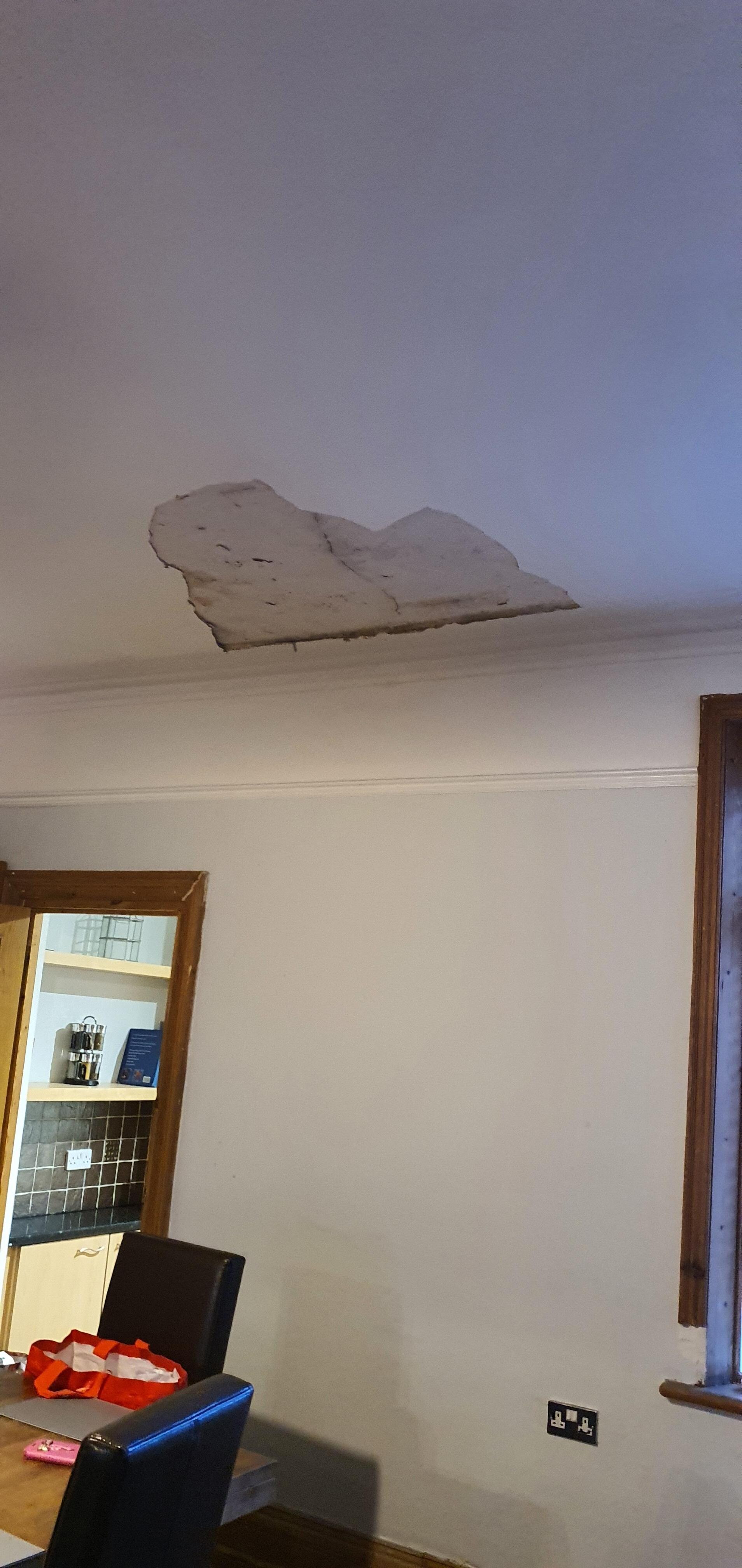 Plaster fallen off ceiling. 