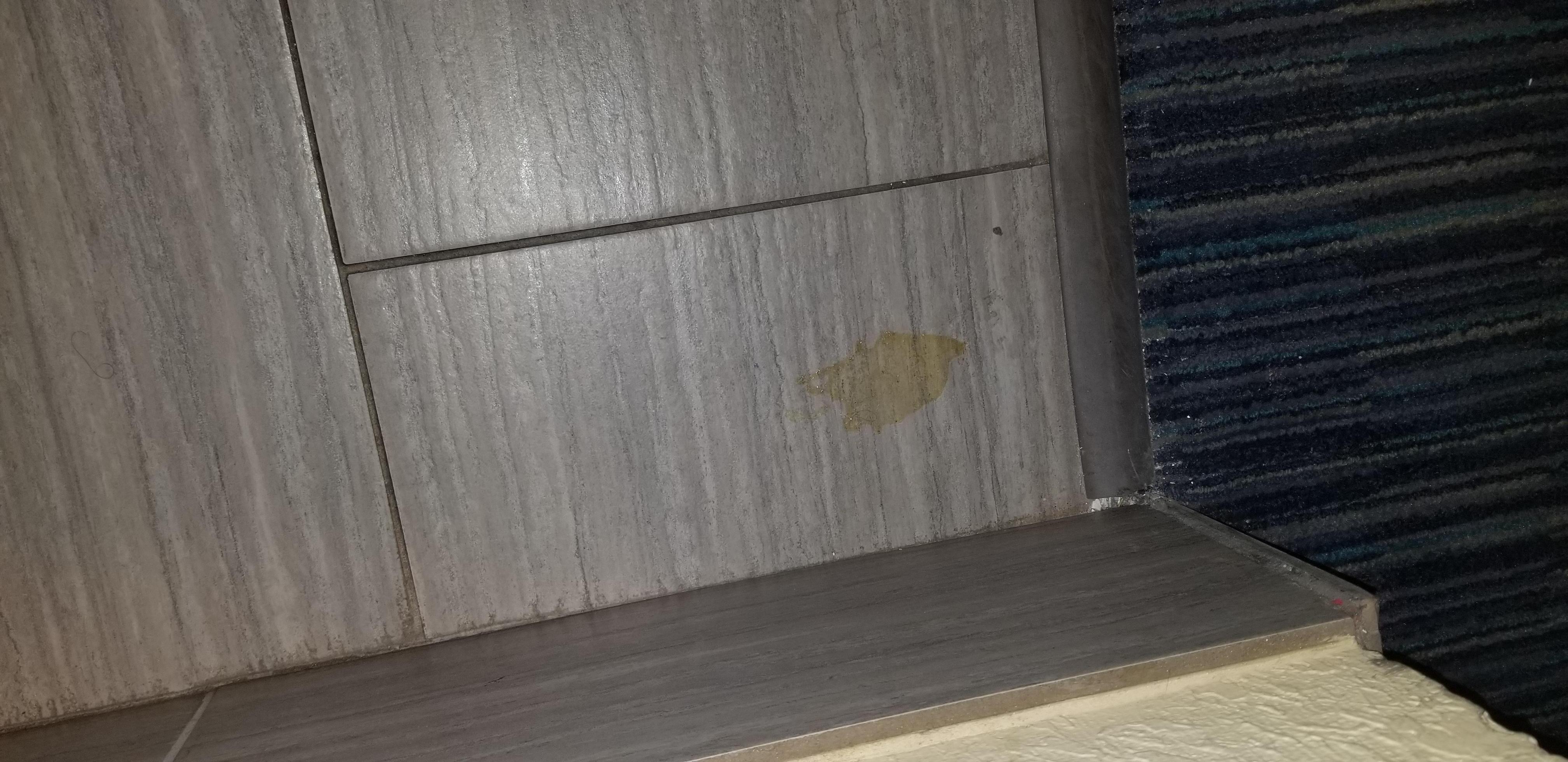 Coffee stain or unsure what was it. But floor was not moped before we arrived 