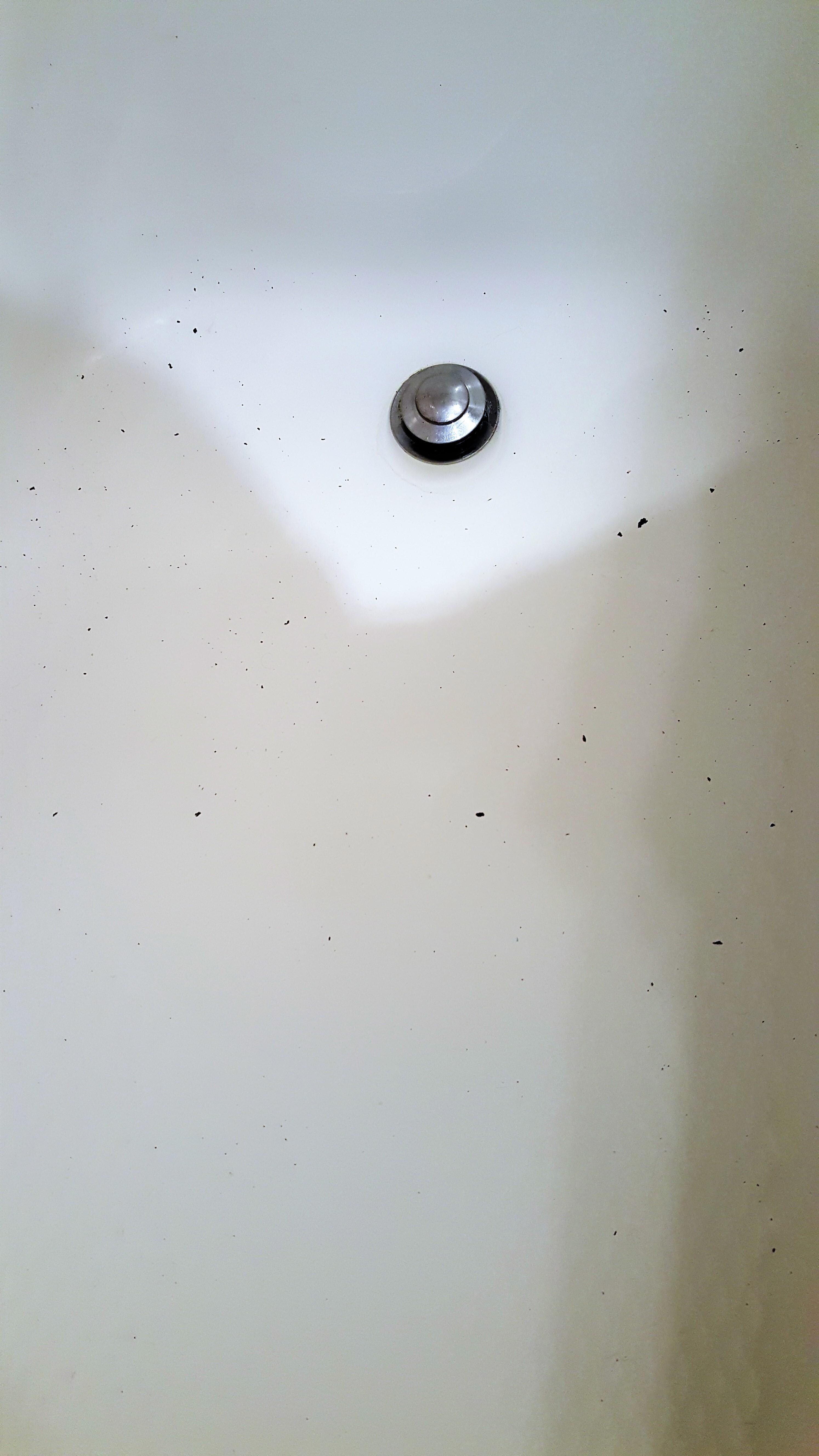 Mystery black in tub