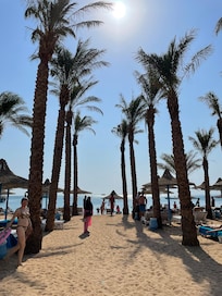 At the beach