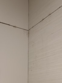 Mould on wall shower tiles