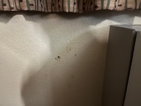 Disgusting splatter on the wall