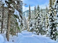 Essex Creek Trail
