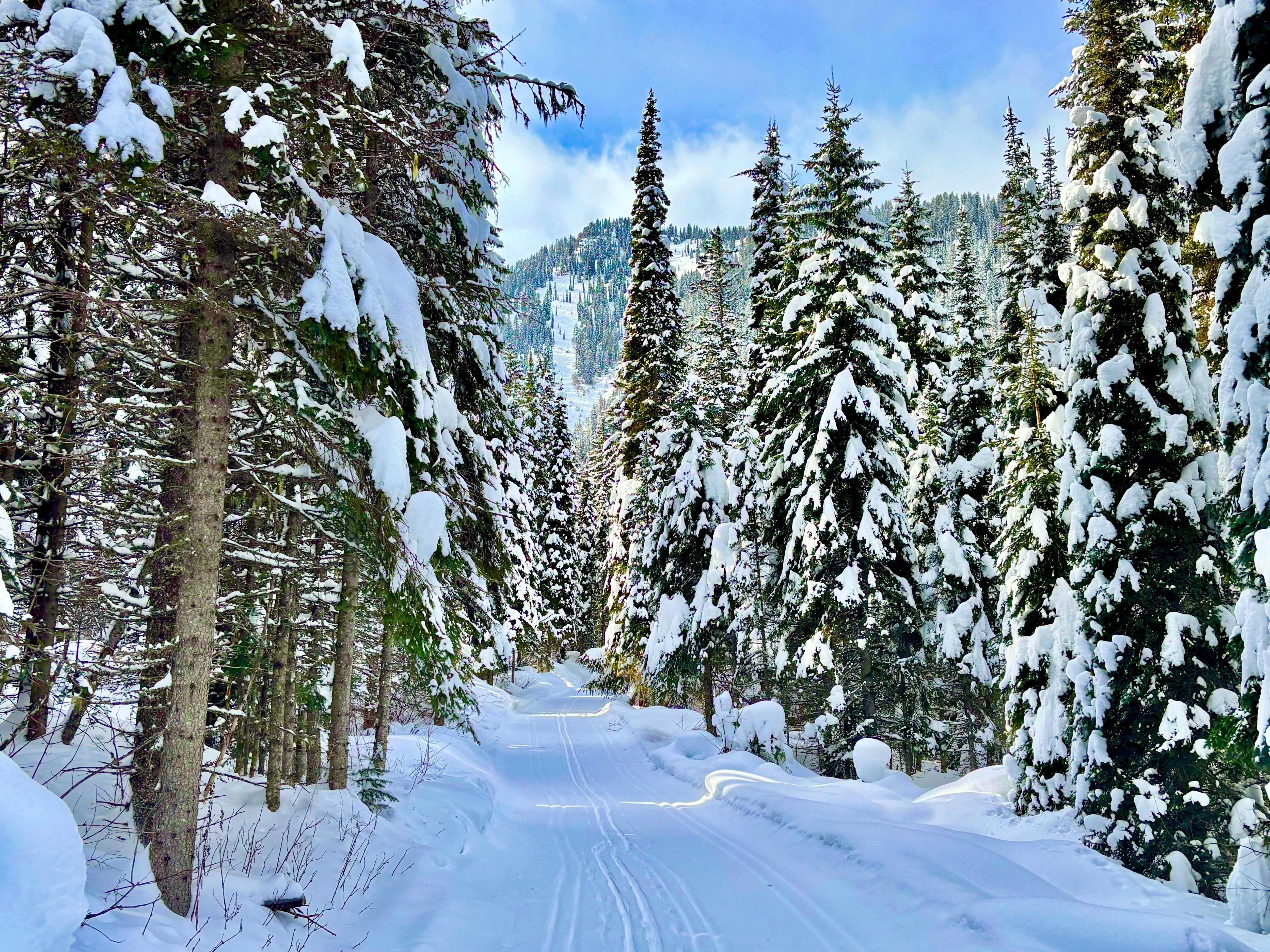 Essex Creek Trail