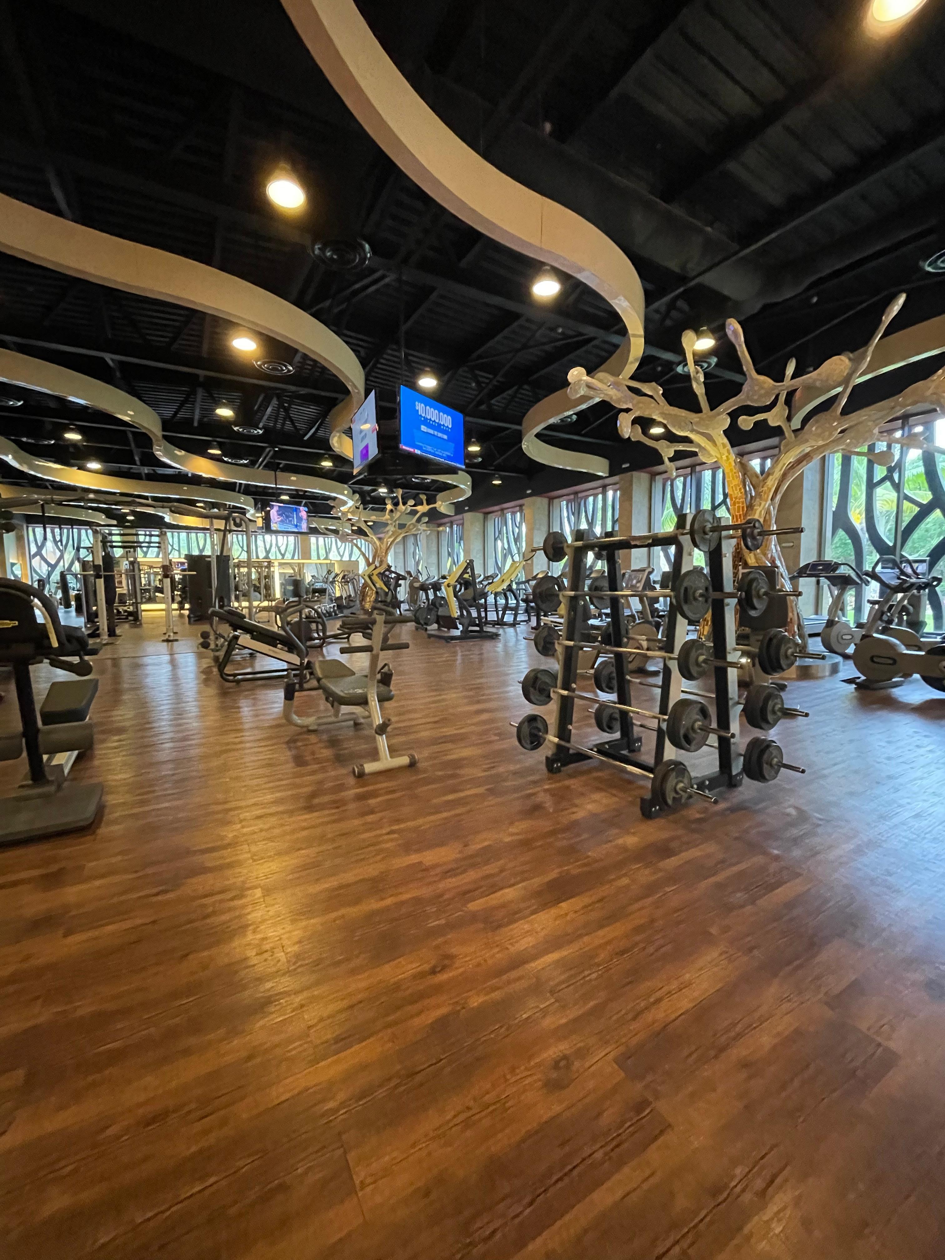 Amazing gym