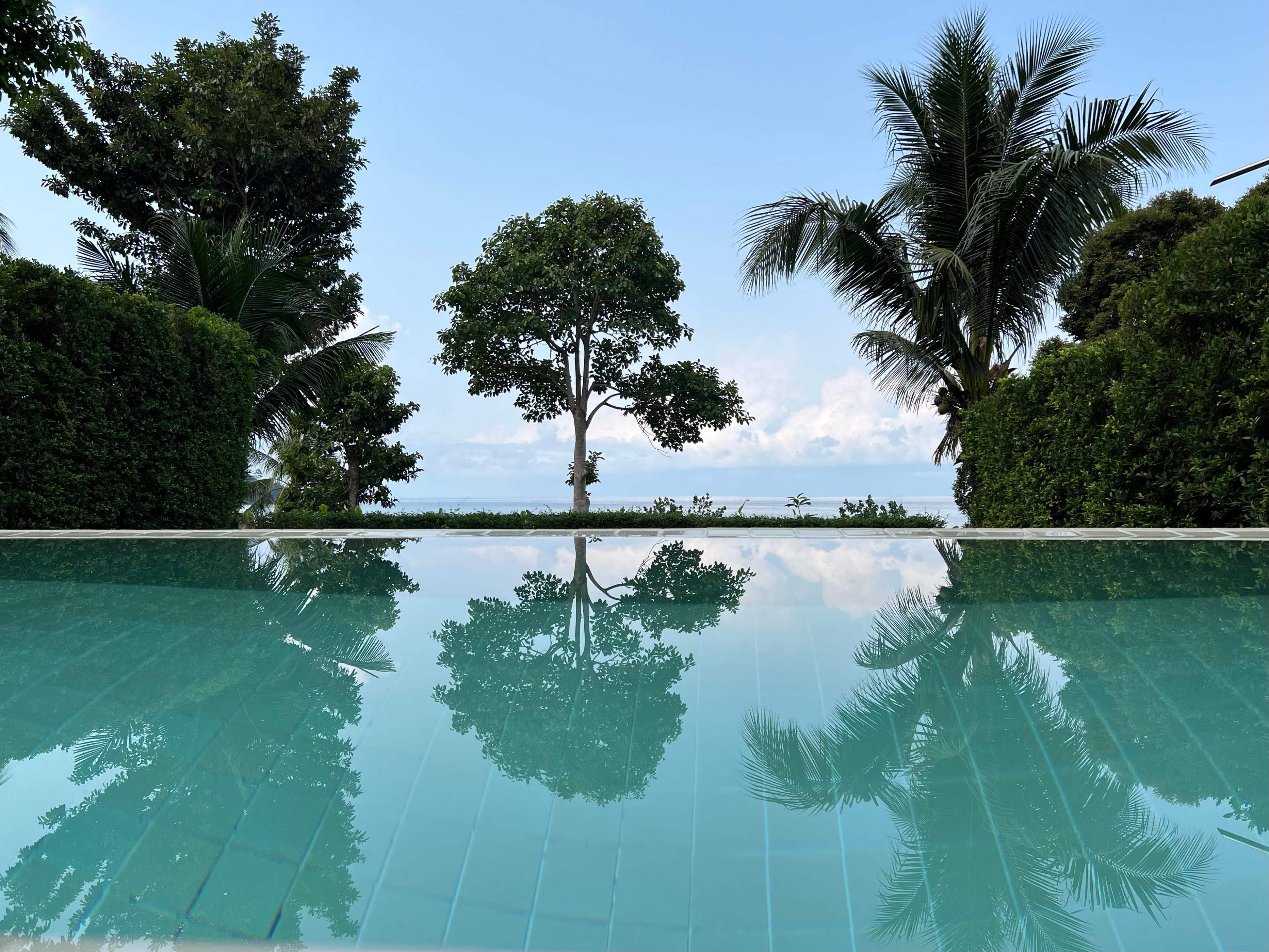 Private pool view 