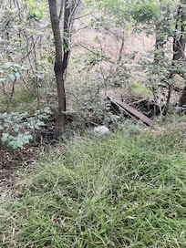 The peaceful creek