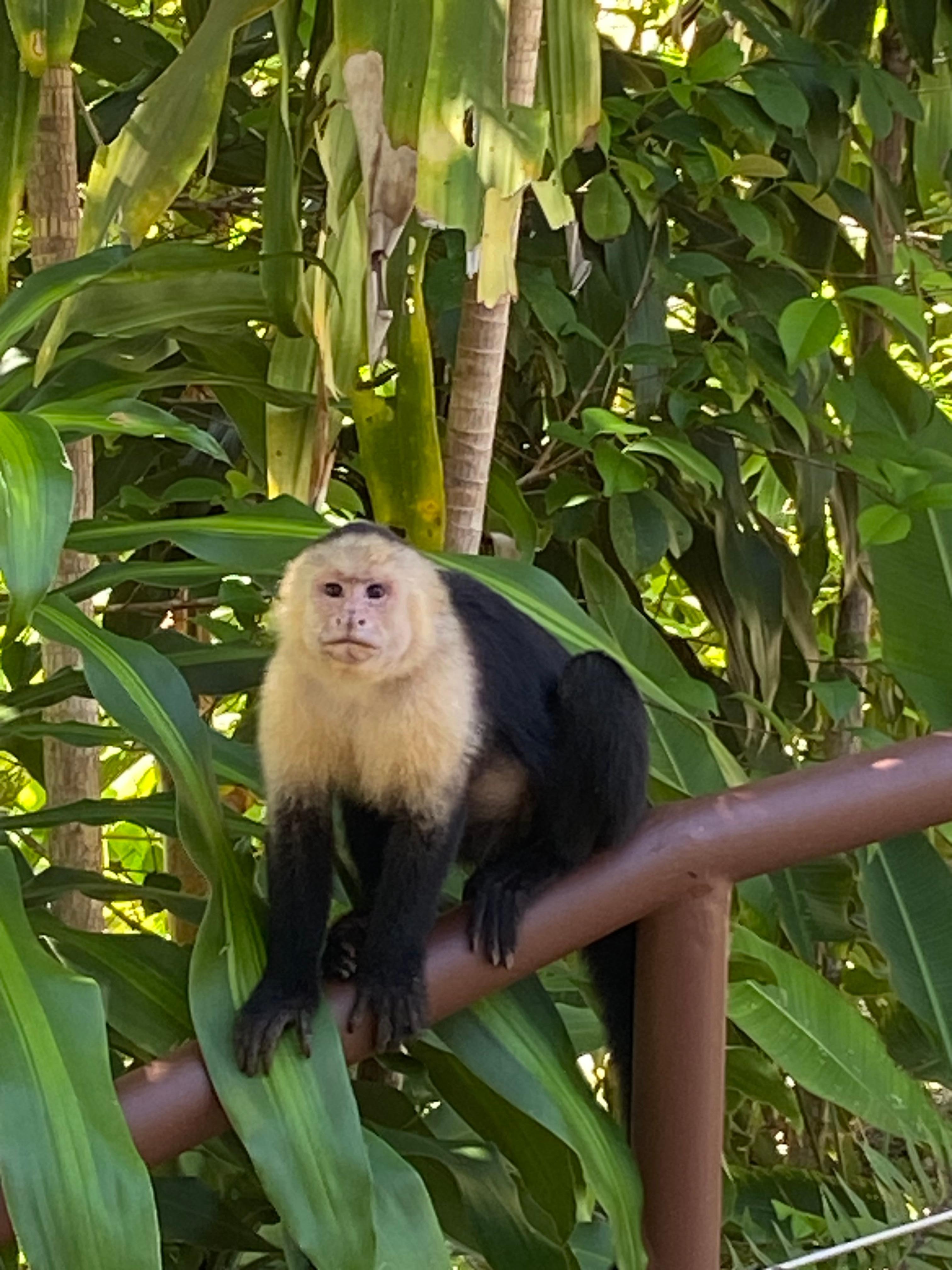 Walking trails to view wildlife 